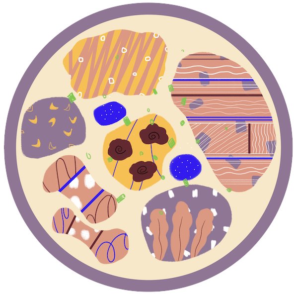 OUR FOOD | Tools &